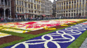 Catifes Florals Brussel·les